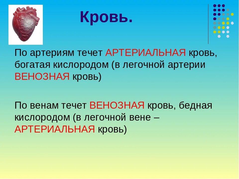 Артериальной кровью называют. Венозная и артериальная кровь цвет. Артериальная кровь и венозная кровь. Венозная кровь это кровь Текущая по венам.