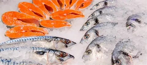 Fish gov