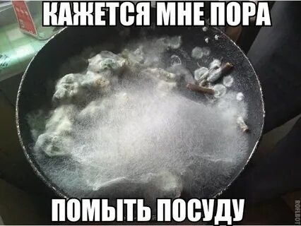 Моет посуду прикол