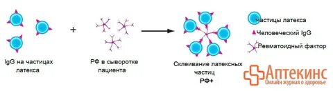 Латекс тест
