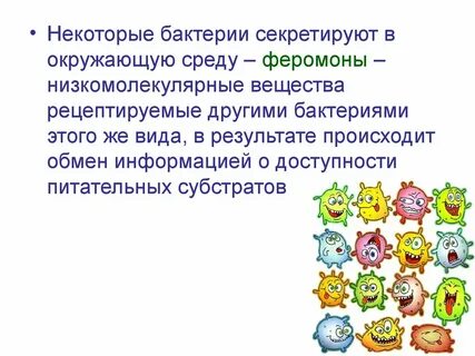 Экология бактерии