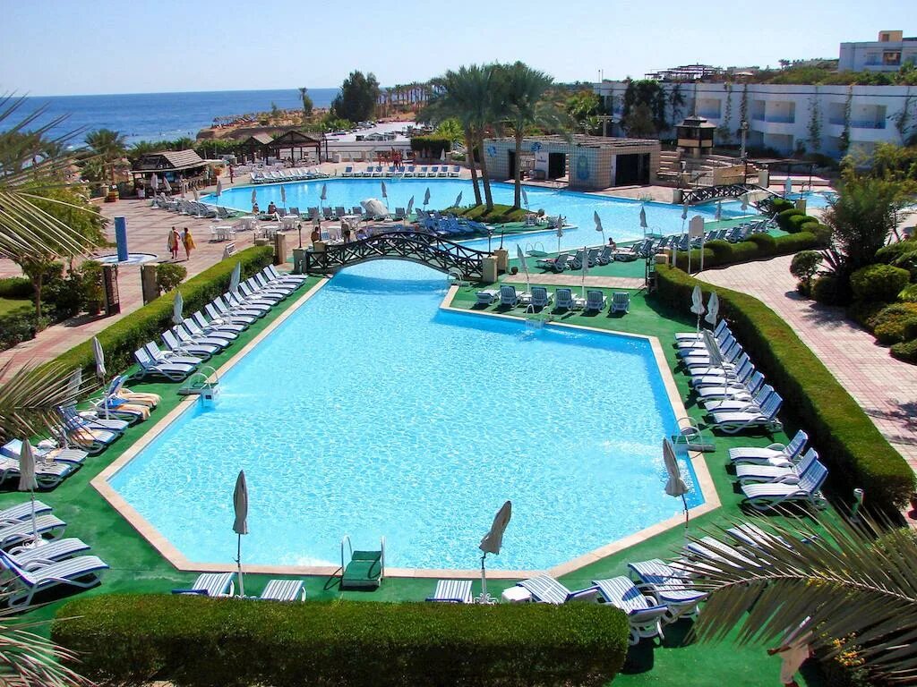 Sharm resort 4 шарм. Квин шарм резорт шарм-эль-шейх. queen sharm resort 4 египет шарм-эль-шейх. шарм эль шейх отель квин шарм резорт. queen sharm resort beach 4*.