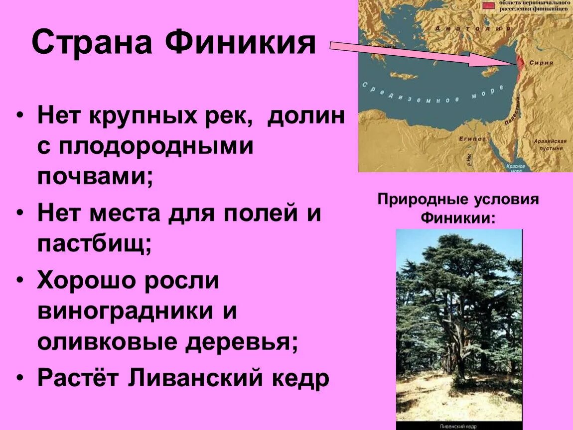 Климатические условия древней финикии