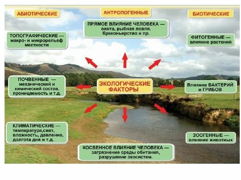 Природно климатическое воздействие. Антропогенные факторы. Влияние антропогенных факторов на окружающую среду. Экологические факторы природной среды это:. Факторы воздействия на окружающую среду экологич.