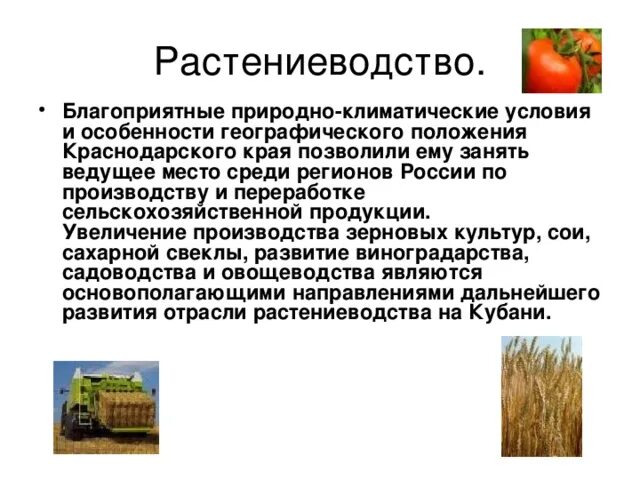 Сообщение о отрасли растениеводства. Растениеводство доклад 4 класс. Доклад на тему Растениеводство. Информация о сельском хозяйстве. Основные отрасли краснодарского края