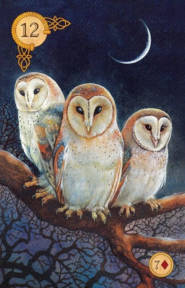 Колода ленорман с совами. Оракул совы. Оракул совы. Колода ленорман золотая сова галерея. Оракул совы.