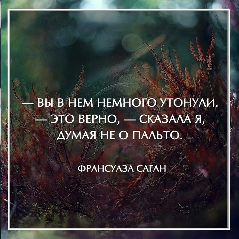 Мудрее и с каждым
