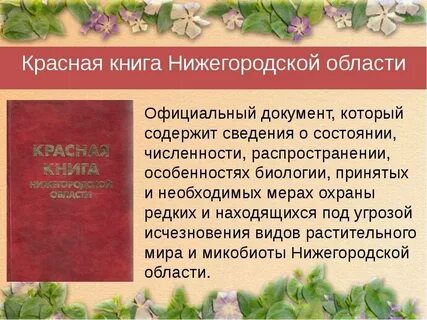 Нижегородская область книга