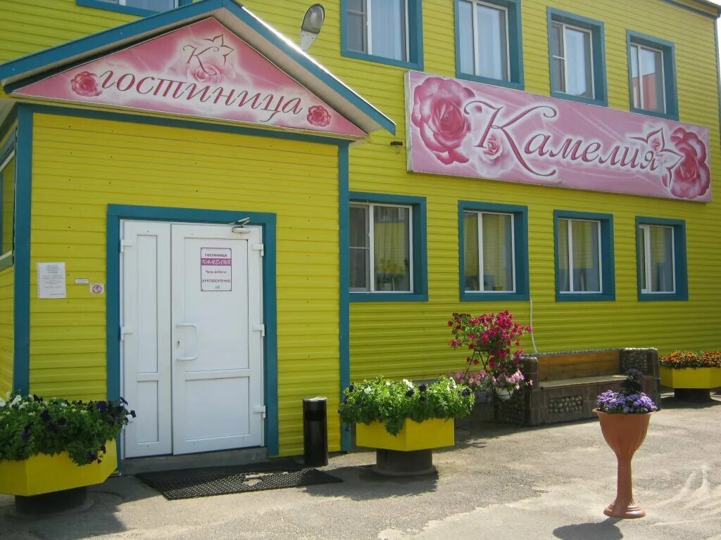 Камелия никольск. Ресторан камелия никольск вологодская область. Ресторан камелия никольск вологодская область. Ул социалистическая 50 череповец. Никольск вологодской гостиницы.