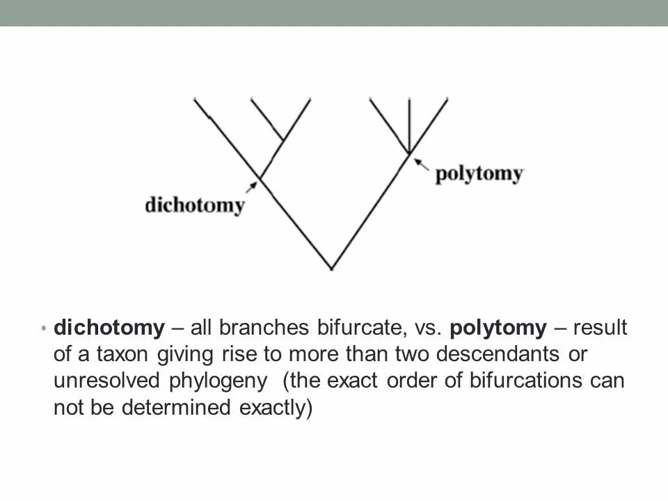 Exact order