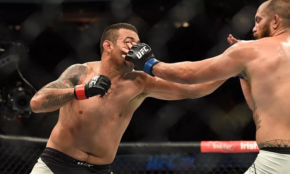 удары в мма. хамзат боец юфс. удары в мма. удары в мма. удары в мма.