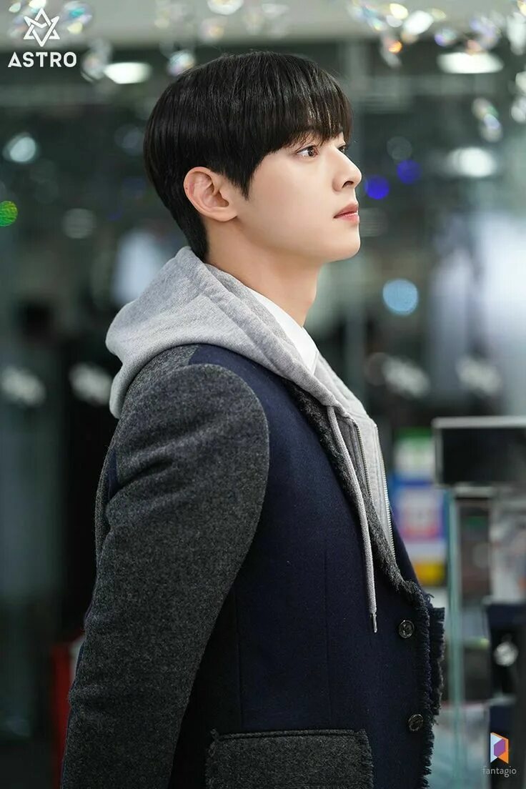 Астро ча ын у. Cha eun woo astro. Чха ын-у. Су хо истинная красота дорама. Чха ын у в каких дорамах.