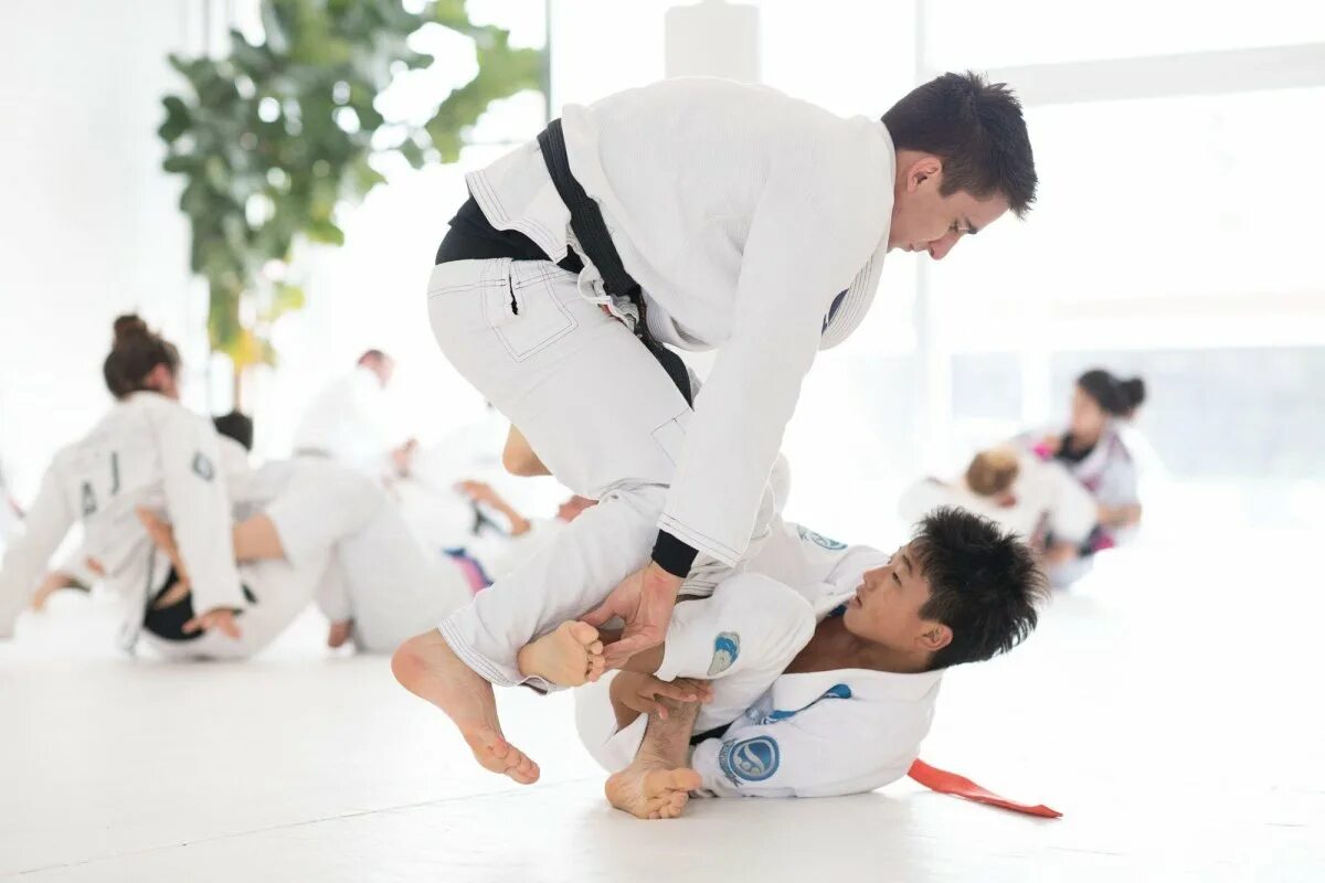 Jujutsu codes