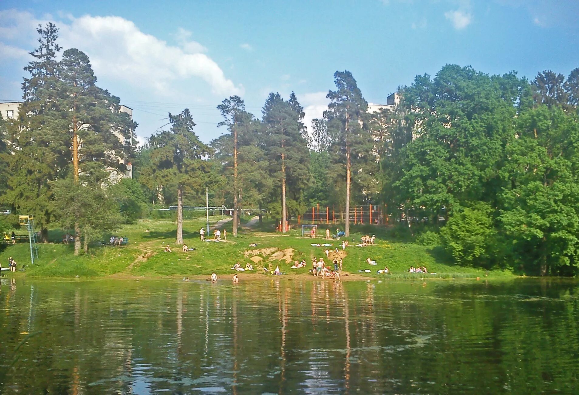 Лес власиха. Поселок власиха одинцово. Власиха парк. Власиха парк. Власиха.