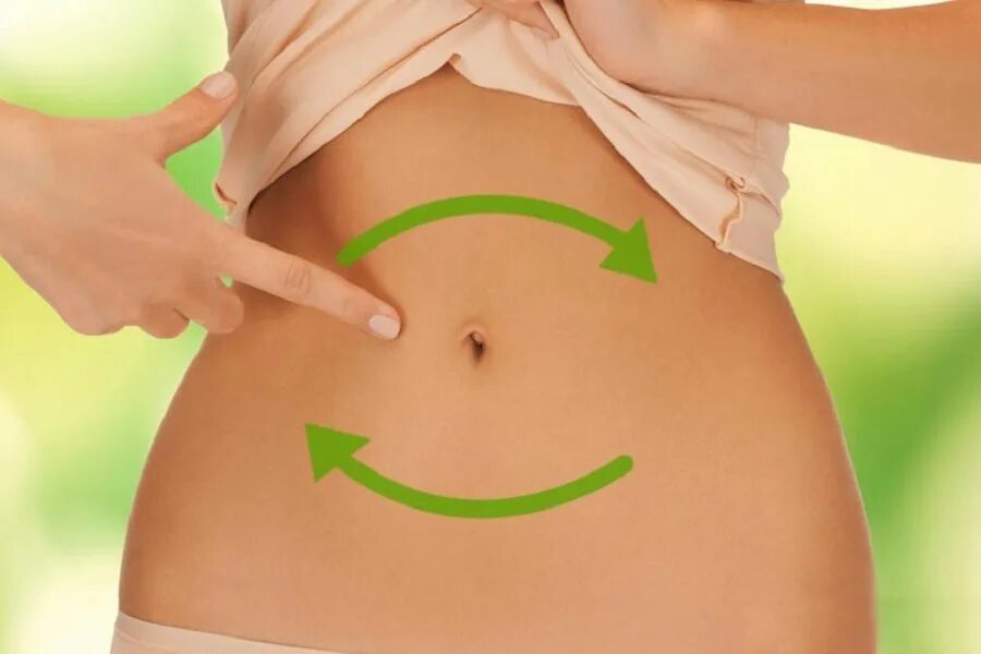 Хорошее пищеварение. Хорошая работа желудка. Здоровый животик. Здоровый желудок и кишечник. Пищеварение.