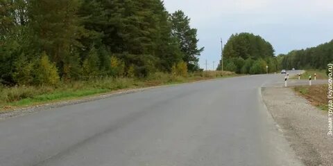 Дорога пала