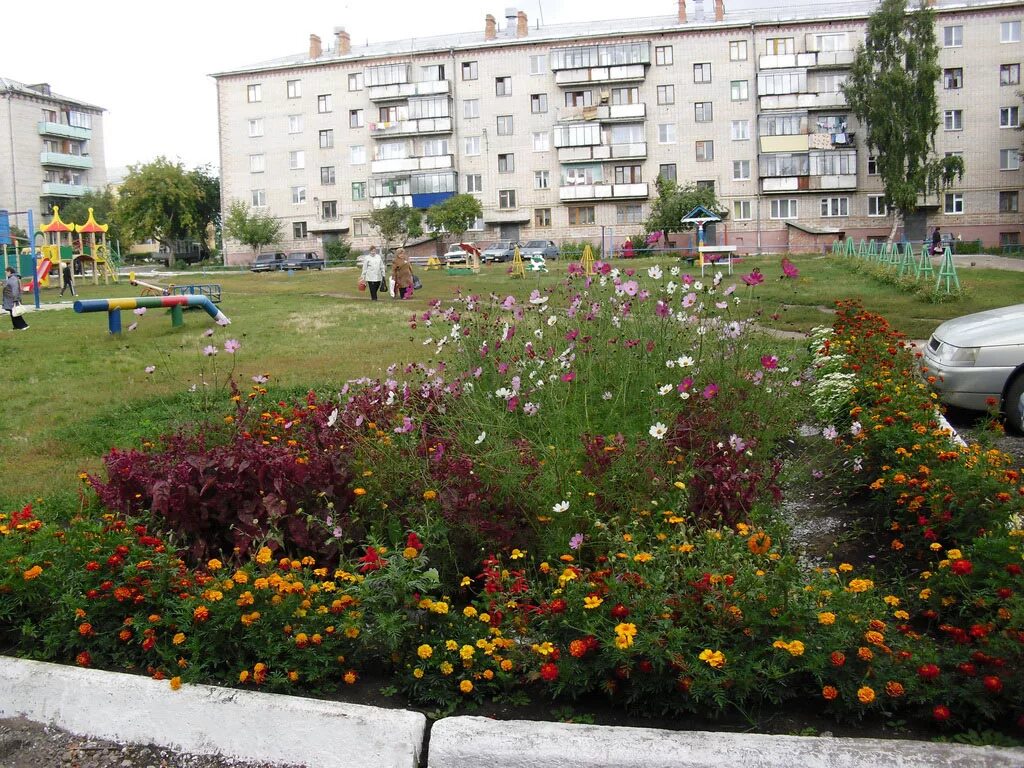 Мирный (город, архангельская область). Цветы мирный архангельская. Цветы мирный архангельская. Город мирный парк архангельская. Цветы мирный архангельская.