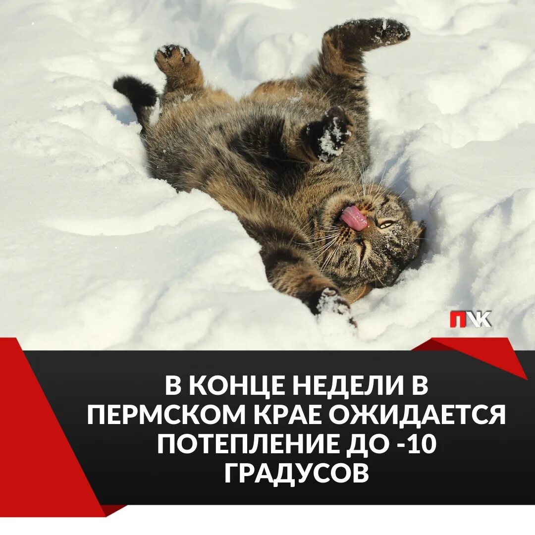 Когда потеплеет в пермском крае. В пермском крае в выходные ожидается потепление до 0 градусов и снег.