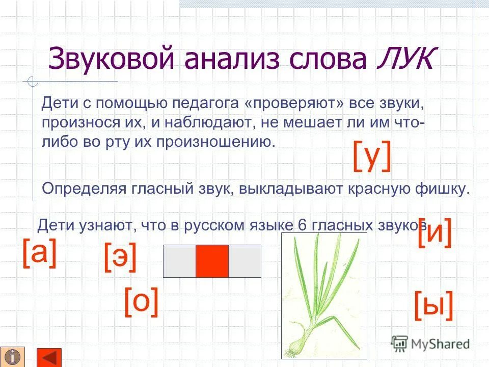 Анализ слова приводит