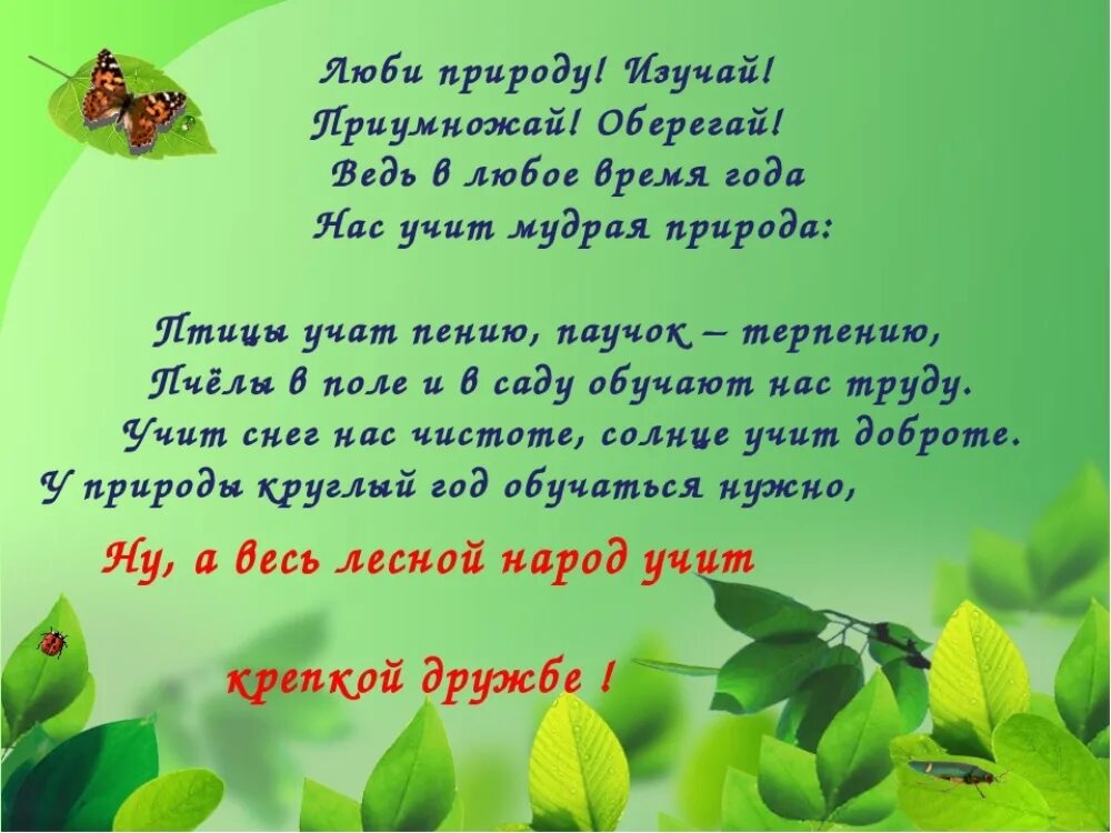 Стихи на экологическую тему. Стихи о природе для детей. Стихи про экологию. Красивое стихотворение про экологию. Четверостишья мир