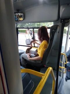 Видела на автобусе ехала