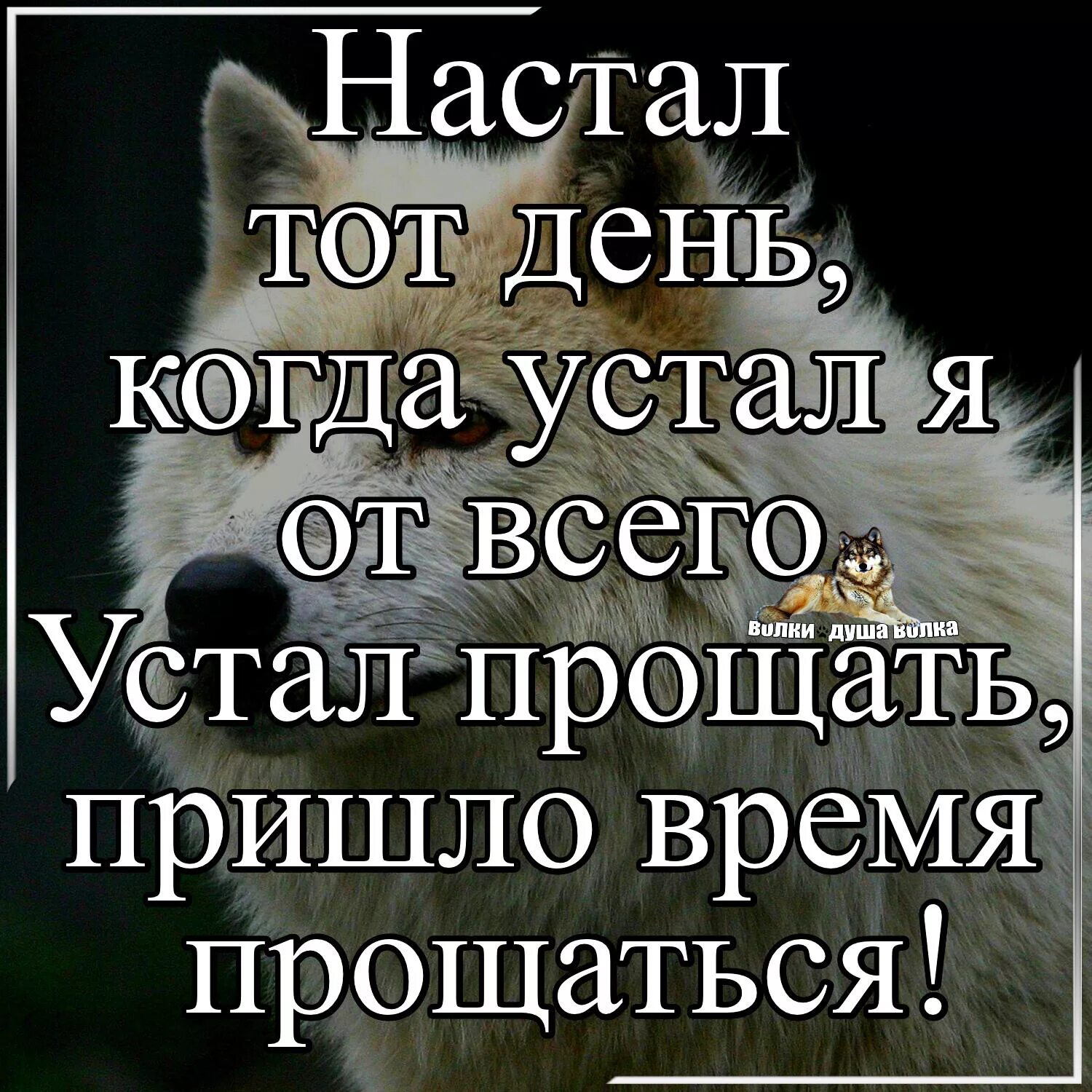Время прощать. Пришло время прощаться. устала прощать. вот и настало время прощаться. пришло время прощаться картинки.