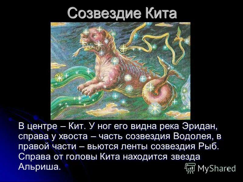 Созвездия стих. Созвездие кита Легенда. Созвездие Водолей Легенда. Созвездие кит на небе. Миф о созвездии Водолея.