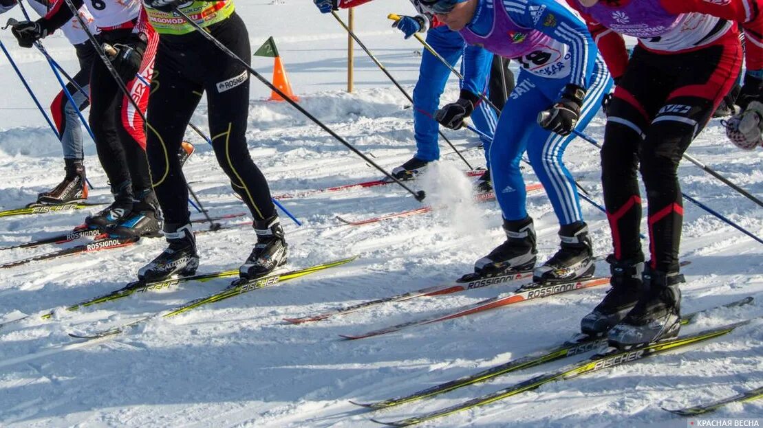 Лыжные гонки. Лыжные соревнования. Лыжные гонки крупным планом. Лыжные гонки любительские.