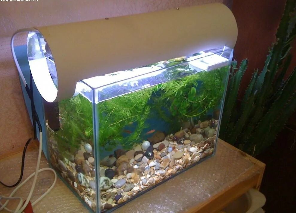 Крышка для аквариума. Боковая подсветка аквариума. Как сделать освещение в аквариуме своими руками. Как сделать освещение в аквариуме своими руками. Светильник для аквариума 60 литров prime.