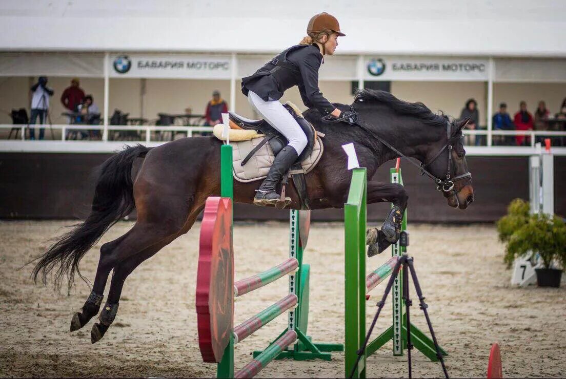 конный двор братск падун. конный двор космос в митино. ресторан конный двор. конный двор чапаевск режим работы. лошадь работает.