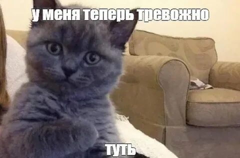 Ни попал