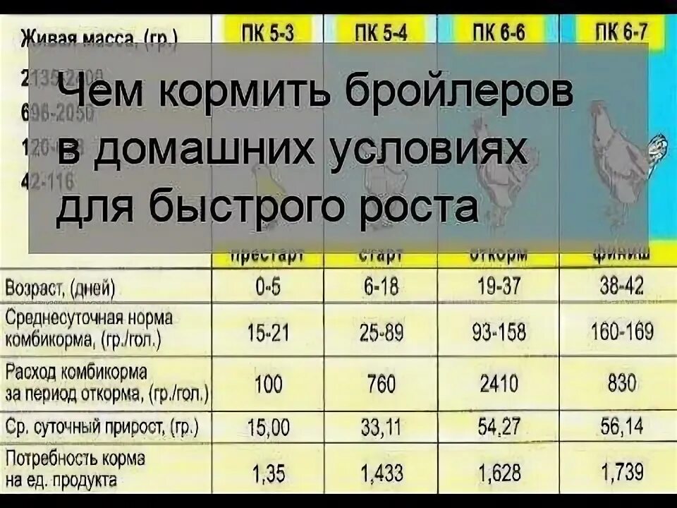 Кормление бройлеров в домашних. Таблица кормления бройлеров. Рацион кормления бройлеров. Таблица кормления цыплят бройлеров. Рацион бройлеров для быстрого роста.