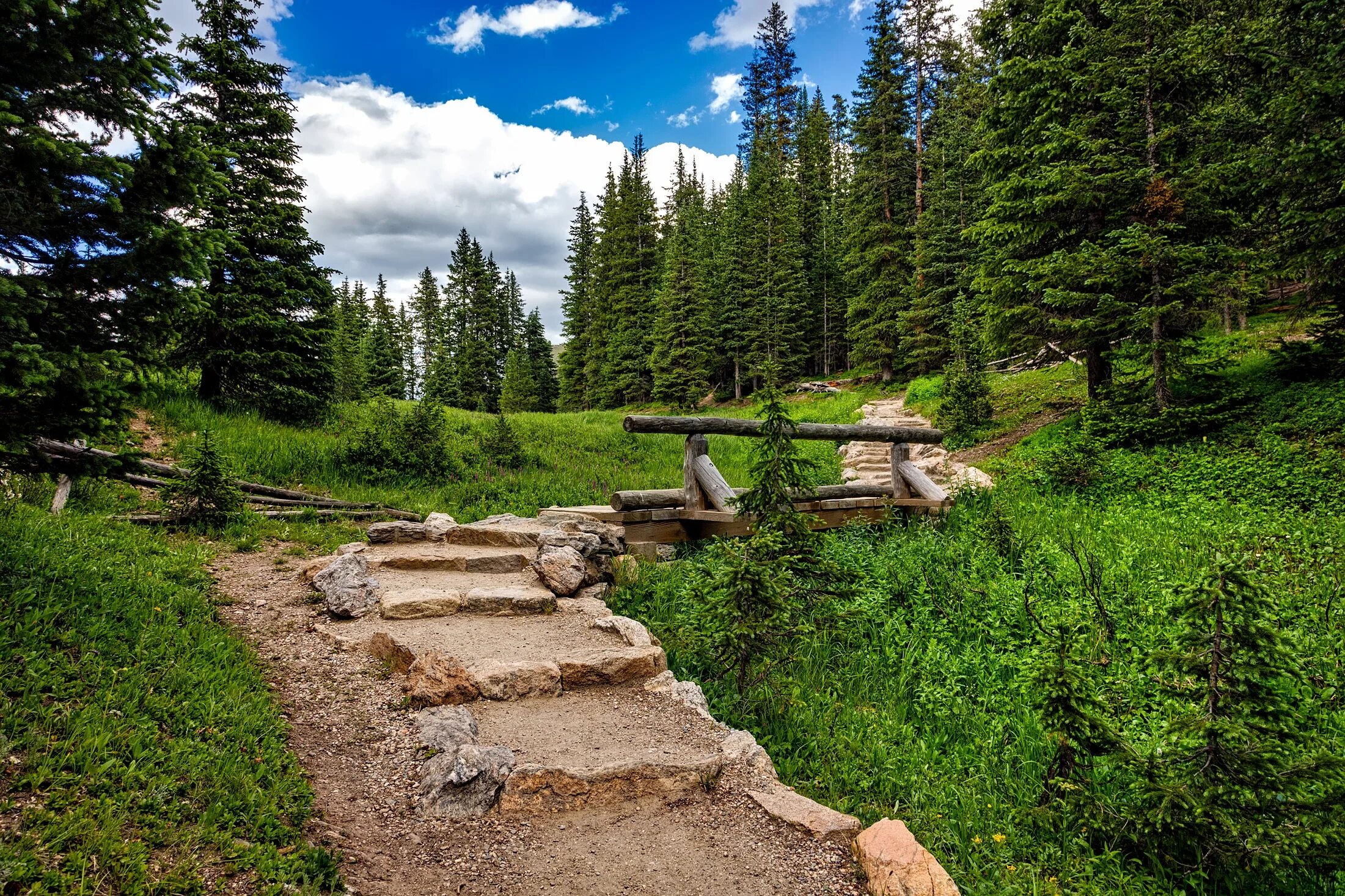 Wild forest. Место местность местный. Каменистый ландшафт горы холмы замок швейцария. Мегалиты ирландии. Эдинбург холм.