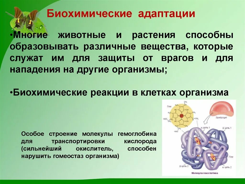 Биохимические адаптации адаптации. Физиологические и биохимические адаптации. Биохимический вид адаптации. Биохимические адаптации примеры животных. Адаптация организмов растения