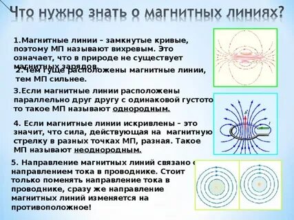 Магнитные линии расположены