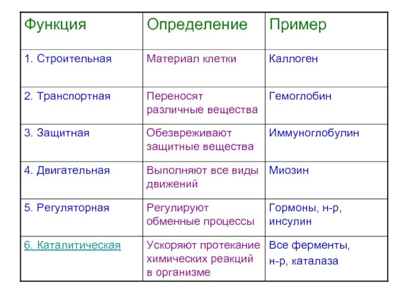 Список функций белков. Функции белков 5 класс биология. Таблица функции белков 9 класс биология. Функции белков таблица кратко. Функции белка и характеристики.