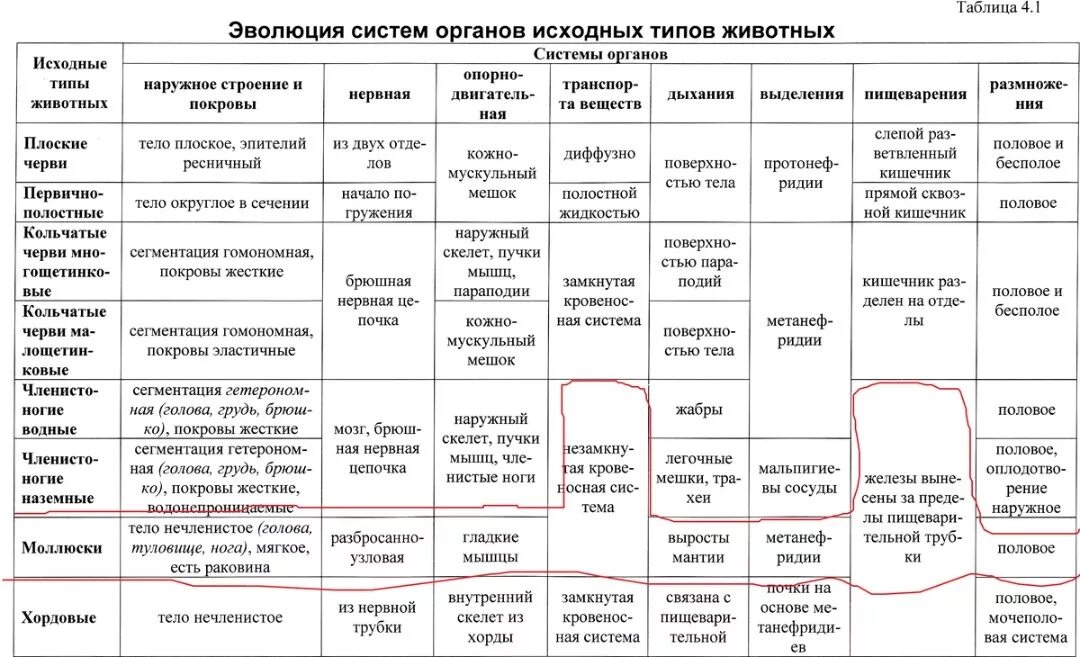 Характеристика типов классов животных. Таблица по биологии Эволюция систем органов животных 7 класс. Эволюция нервной системы у животных таблица 7 класс. Эволюция пищеварительной системы хордовых животных таблица. Таблица Тип моллюски 7 класс биология.