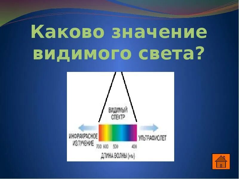 Действие видимого излучения. Каково значение видимого света. Видимый свет. Биологическое значение видимого света. Видимый спектр света.