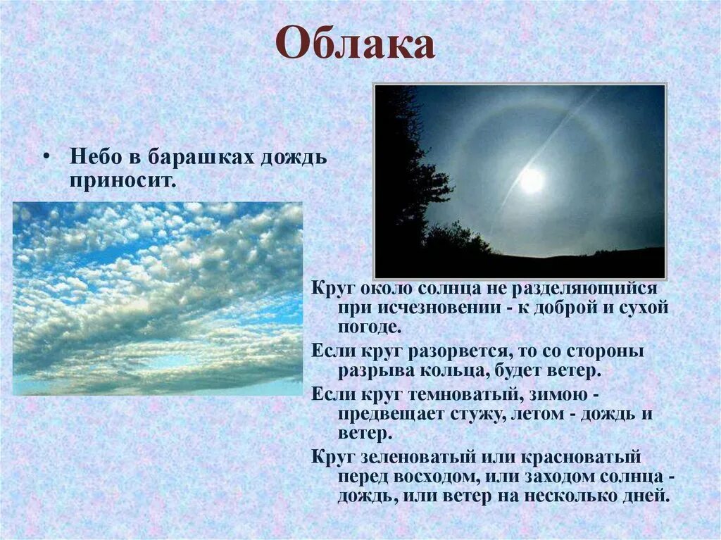 Народные приметы помощью которых можно предсказывать погоду. Интересные приметы на погоду. Народные приметы о погоде. Презентация народные приметы. Сообщение о народных приметах о погоде.