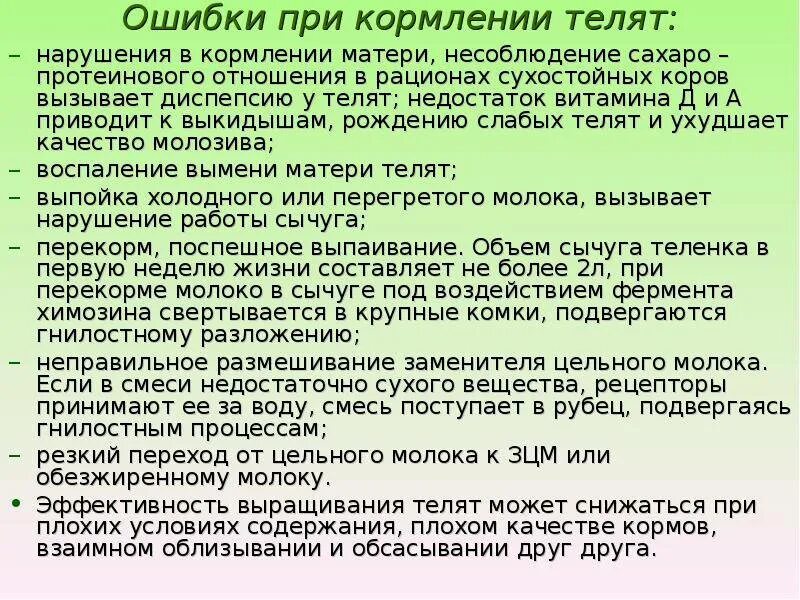 Сколько месяцев поить. Температура выпойки молока телятам. Кормление телят молозивом. Как кормить молоко телят. Молоко для телят сколько можно давать.