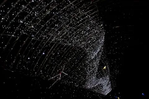 Зайдешь stars