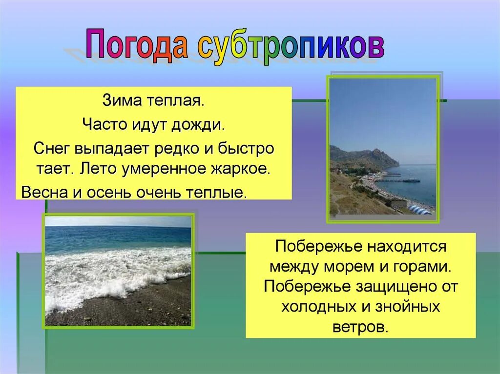 Презентация на тему субтропическая зона. Природные условия субтропиков. Природные условия субтропических зон. Погодные условия субтропиков.