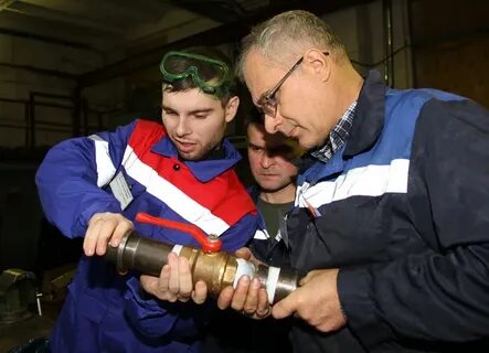 Новогор прикамье передать