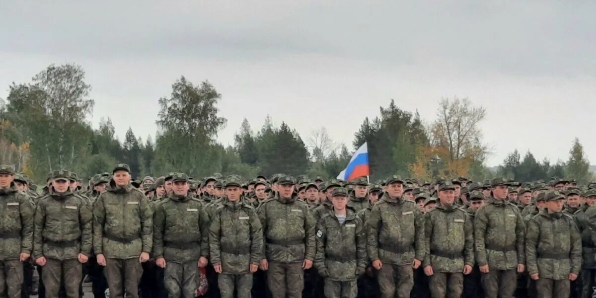 Вероятность мобилизации в 2025 мнение экспертов. Вероятность мобилизации в 2025 мнение экспертов