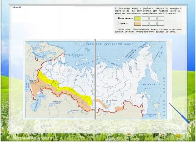 Контурная карта природно хозяйственные зоны. Степи и лесостепи на контурной карте России. Контурные карты с природной зоной степи Россия. Контурная карта природных зон России 4 класс в рабочей тетради. Зона степей на карте России.