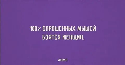 Бойся женщин своих