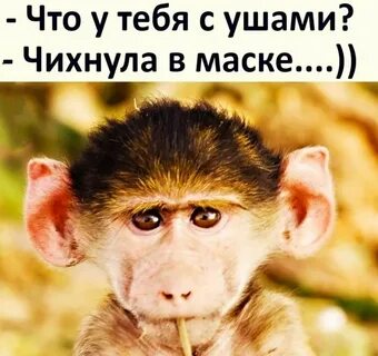 Мамака