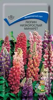 Люпин аромат