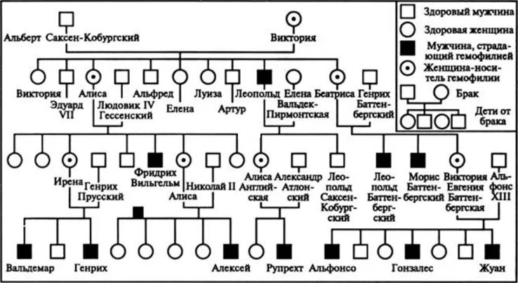 Родословная королевы Виктории. Генеалогическое Древо королевы Виктории. Генеалогическое Древо Виктории королевы Англии. Родословная семьи королевы Виктории наследование гемофилии. Известно что ген гемофилии