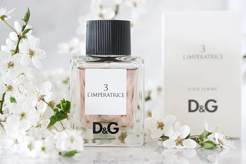 Dolce gabbana limited edition. Dolce Gabbana l'Imperatrice 3. Dolce Gabbana Imperatrice 3. Dolce Gabbana la Imperatrice 3. Dolce Gabbana l Imperatrice.